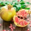 Granatapfel `Haku Botan´ Punica Granatum 1 Granatapfel `Haku Botan´ Punica Granatum -GartenZauber Verkäufe Granatapfel weiss Erweiterte Lizenz