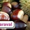 Esskastanie `Maraval´ Castanea Sativa `Maraval´ -GartenZauber Verkäufe Maraval