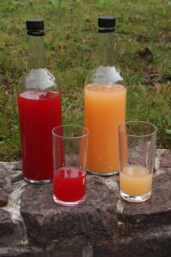 Rosette® Malus Domestica -GartenZauber Verkäufe Rosette Saft