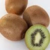 Kiwi `Solissimo´® Actinidia Deliciosa -GartenZauber Verkäufe actinidia deliciosa kiwi 1s1b4334