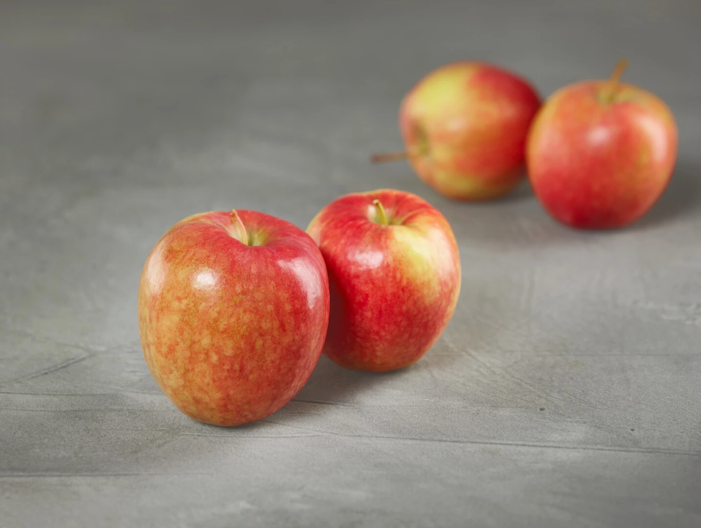 Rewena ® Malus Domestica 4 Rewena ® Malus Domestica – Bild 2