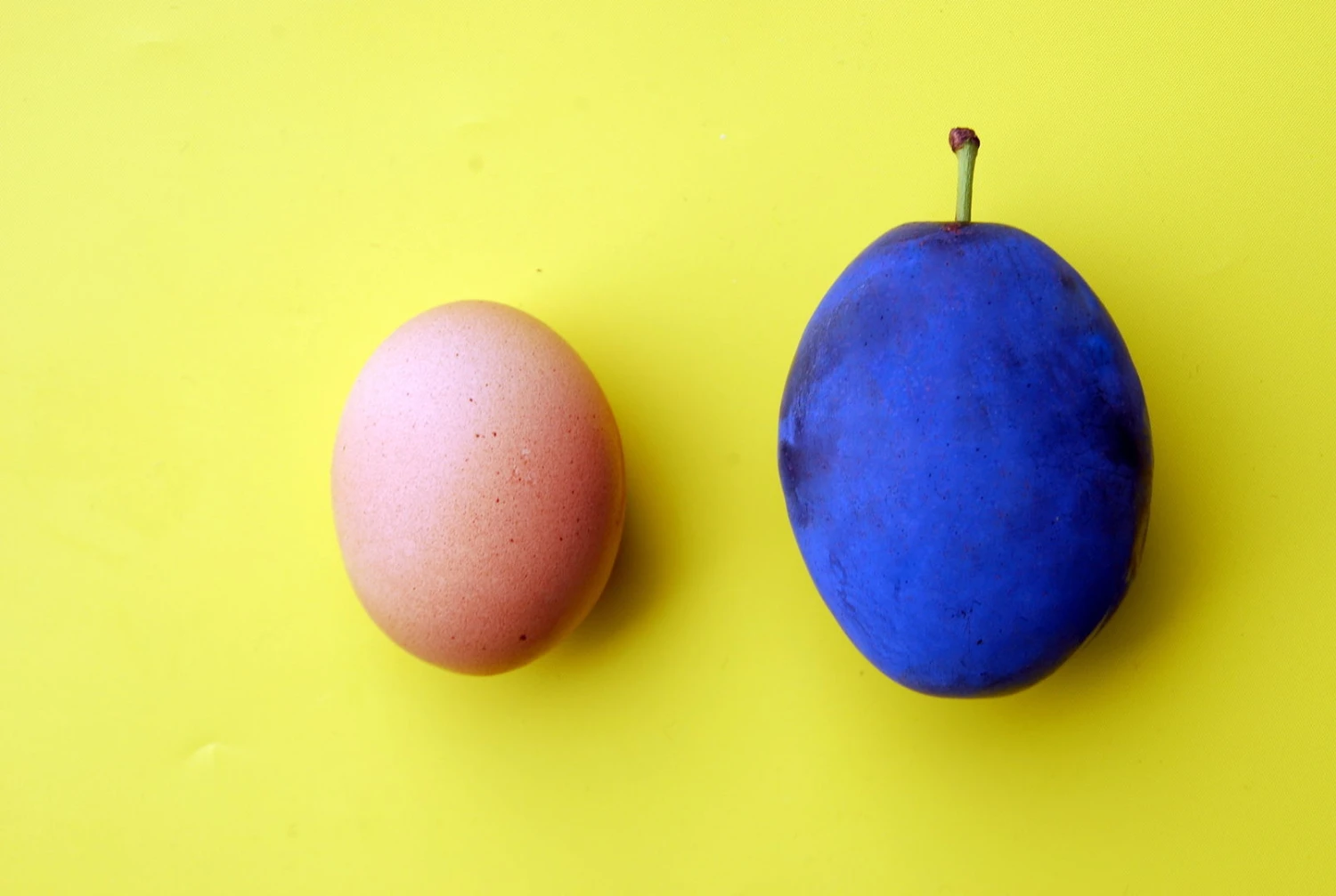 Haganta (S) Prunus Domestica `Haganta´ 5 Haganta (S) Prunus Domestica `Haganta´ – Bild 3