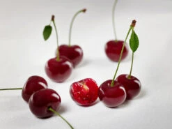 Achat Ⓢ Prunus Cerasus `Achat´ -GartenZauber Verkäufe sauerkirsche achat ggmc5Q8G1QL1D9