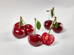 Safir ® Prunus Cerasus `Safir´ 13 Safir ® Prunus Cerasus `Safir´ -GartenZauber Verkäufe sauerkirsche safir glCz99JjQsQ3RC