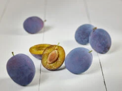 Hanita ® Prunus Domestica `Hanita -GartenZauber Verkäufe zwetschge hanita g